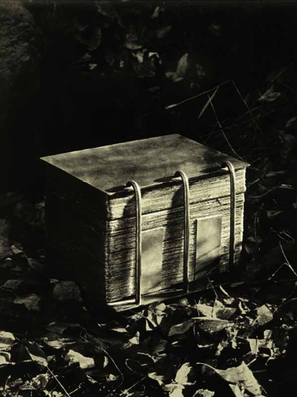 Escrituras Mormonas Escrituras Mormonas